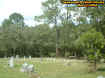 cemeterydayview.jpg (53369 bytes)