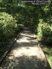 0woodwalkway.jpg (47692 bytes)