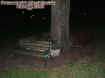 treebenches.jpg (23354 bytes)