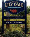 daytimelilydale0.jpg (44071 bytes)