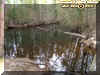 hiddenwaterway.jpg (56981 bytes)
