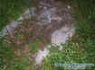exposedgrave1.jpg (72515 bytes)
