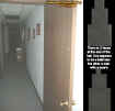 hallwayfaces.jpg (29929 bytes)