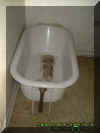 clawtub.jpg (20126 bytes)