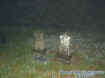 gravemist1.jpg (35157 bytes)