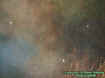 2woodsecto.jpg (24946 bytes)