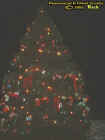 christmastree.jpg (18256 bytes)
