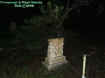 rockstonegrave.jpg (28616 bytes)