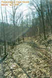 2trail.jpg (85406 bytes)