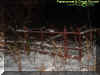 5fence.jpg (34950 bytes)